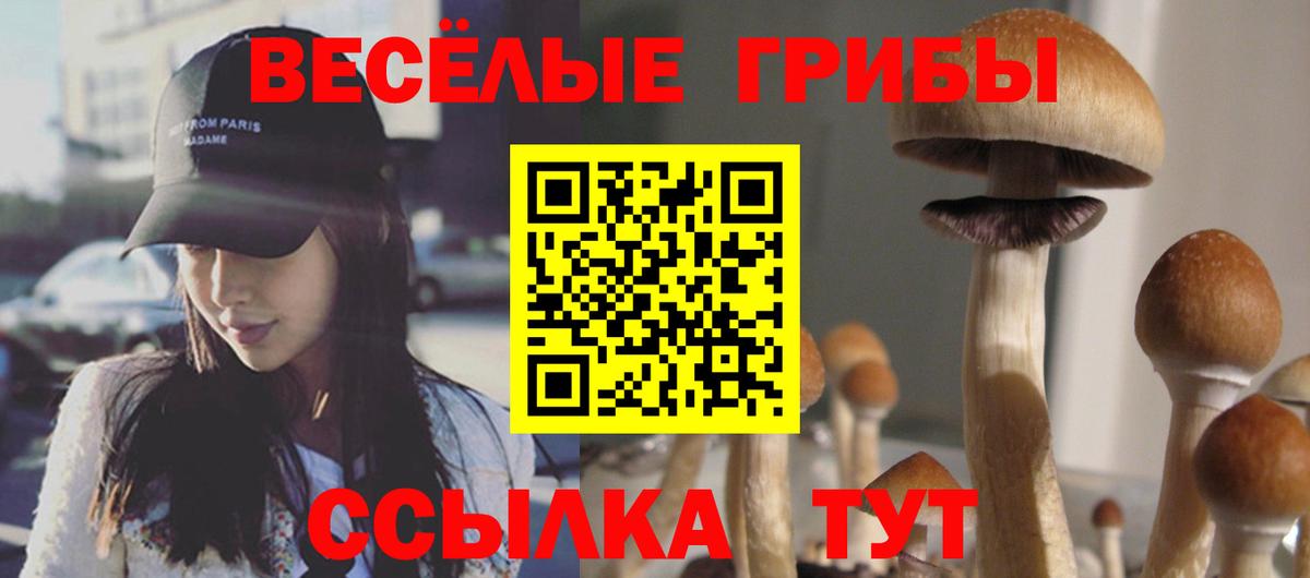 Псилоцибиновые грибы Cubensis  Вход с VPN  Галлюциногенные грибы Psilocybe  Топки 